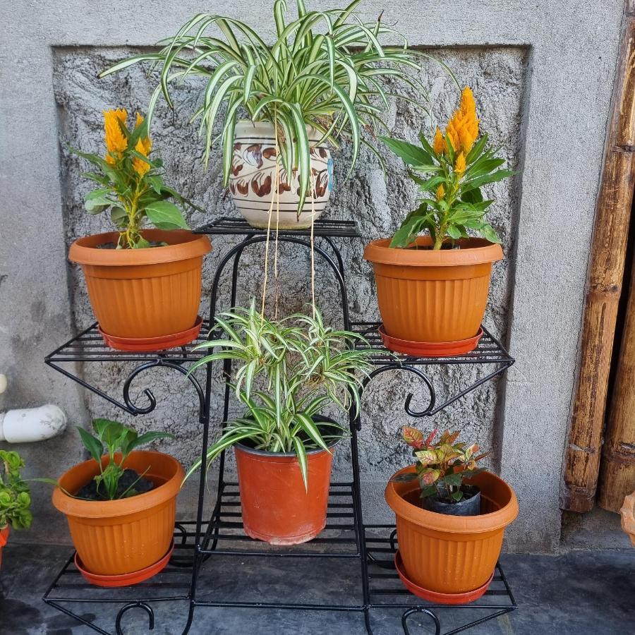 Alohi The Terrace Homestay Tezpur Luaran gambar